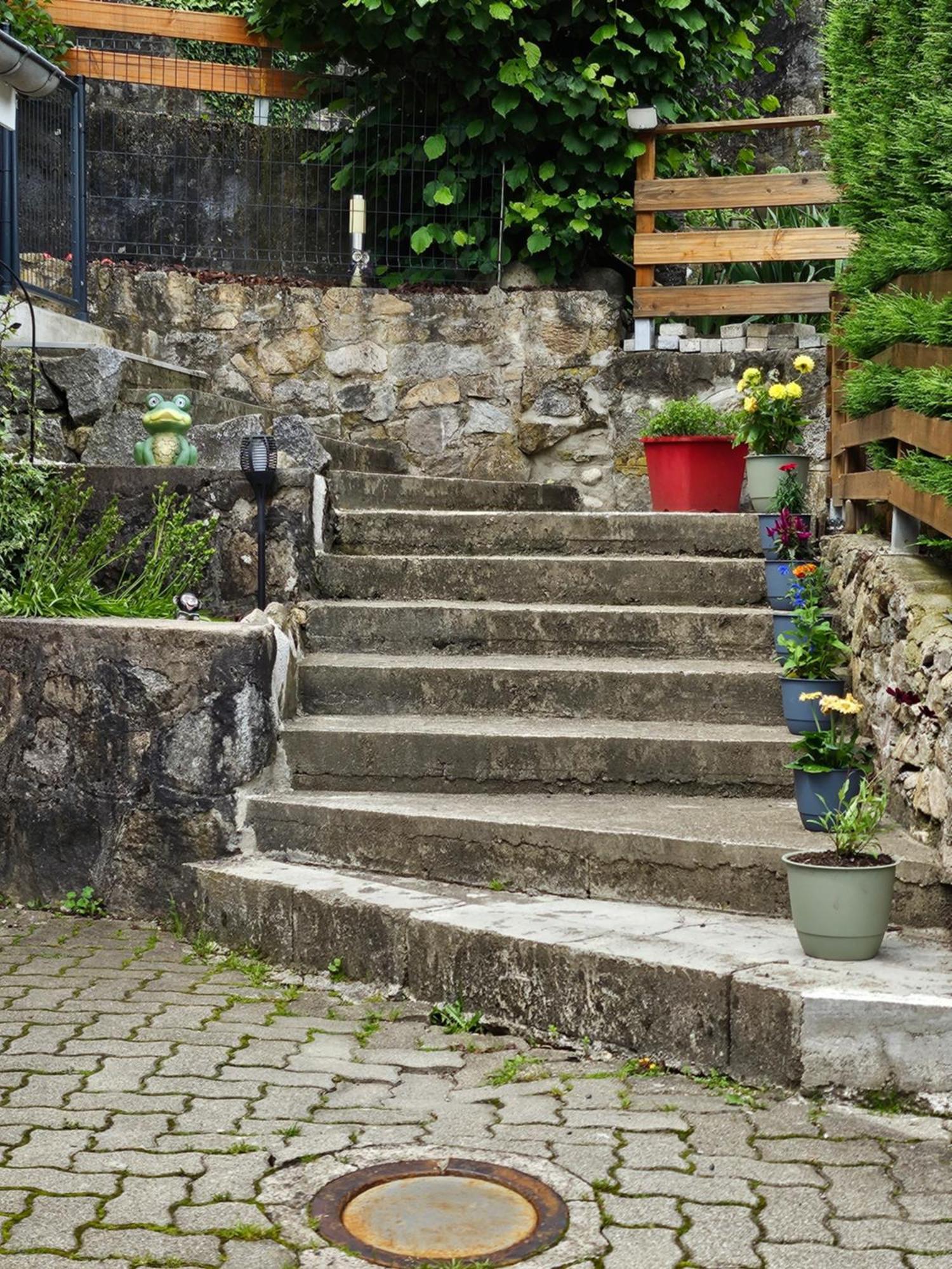 Gite Vallee De Munster 3 Etoiles Chez Flavie & Ludo Muhlbach-sur-Munster Kültér fotó